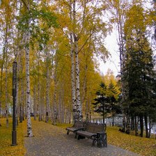 Схема вышивки «№369639»