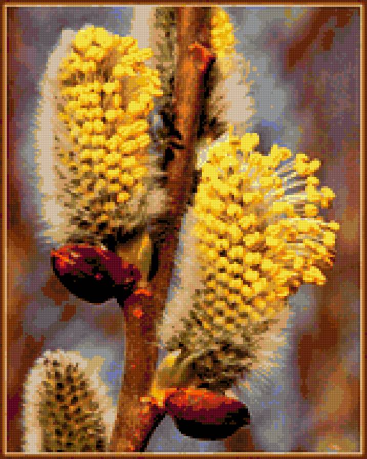 верба - цветы, верба, весна - предпросмотр