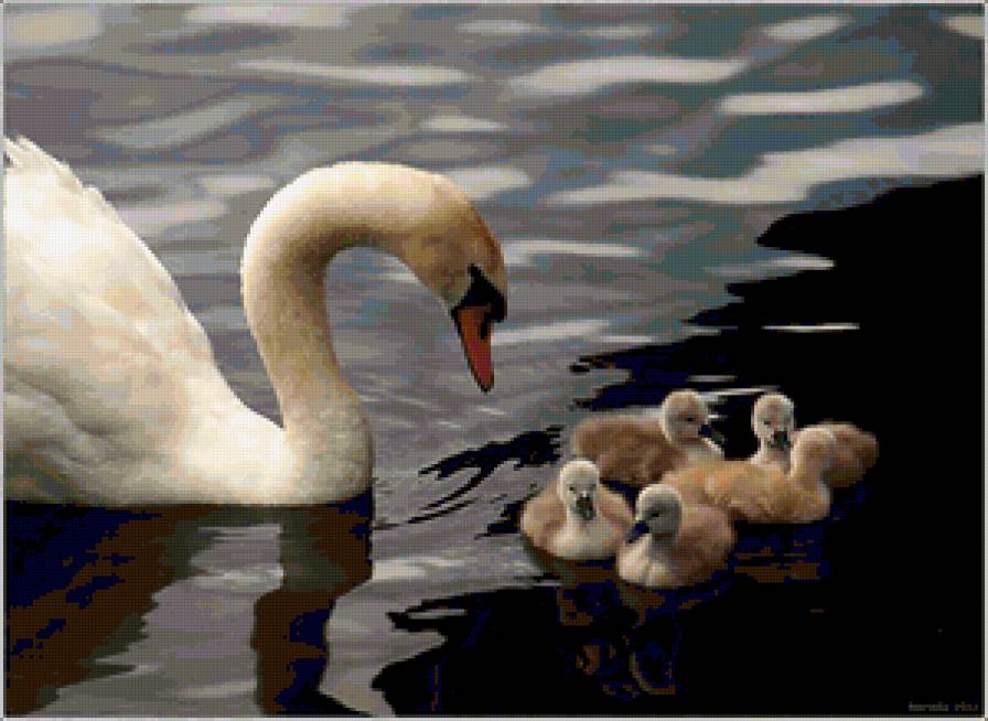 №369643 - предпросмотр