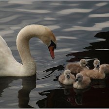 Схема вышивки «№369643»