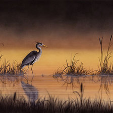 Схема вышивки «цапля»