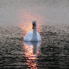 Схема вышивки «№369649»