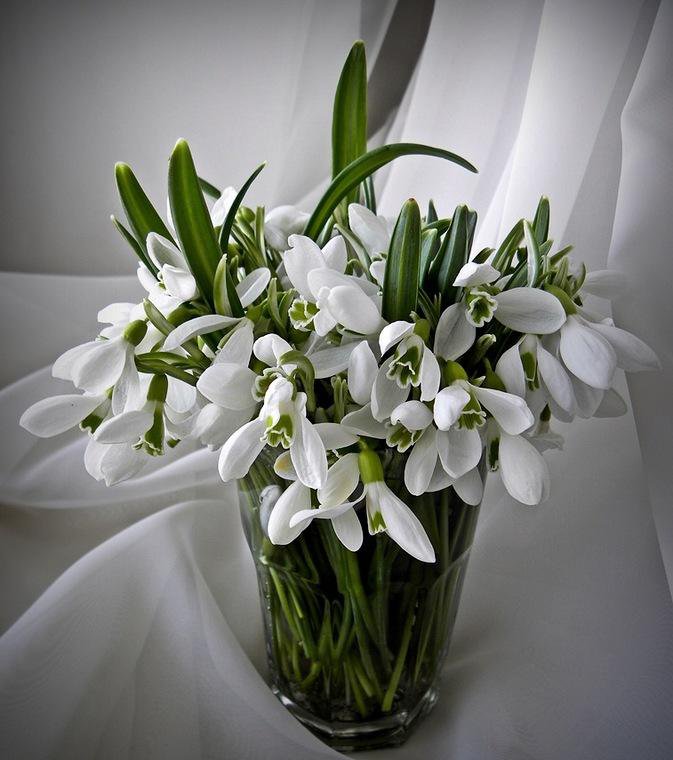 №369658 - оригинал