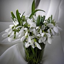 Схема вышивки «№369658»