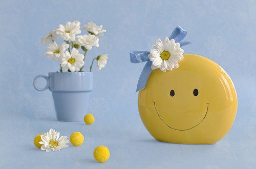 От улыбки станет всем теплей - букет, улыбка, цветы, натюрморт, ромашки - оригинал