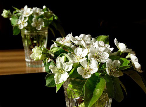 №369737 - букет, весна, цветы, натюрморт - оригинал