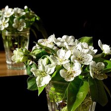 Схема вышивки «№369737»