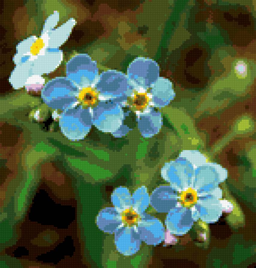 незабудки - незабудки, цветы - предпросмотр