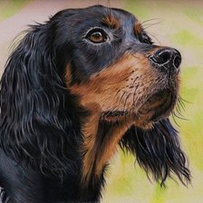 верный друг