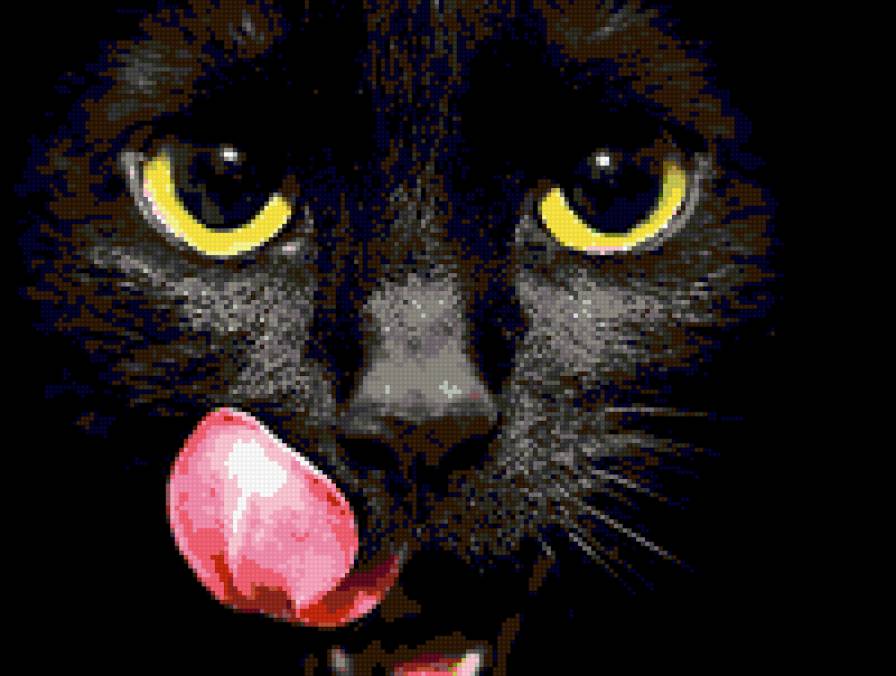 Киса - животное, черный - предпросмотр