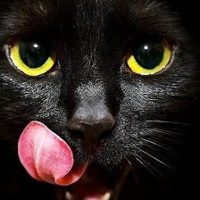 Схема вышивки «Киса»