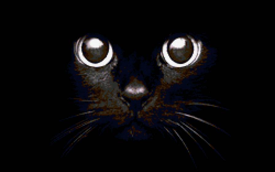 Киса 2 - кошка, животное - предпросмотр