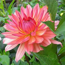 Схема вышивки «№369857»