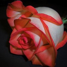 Схема вышивки «№369861»