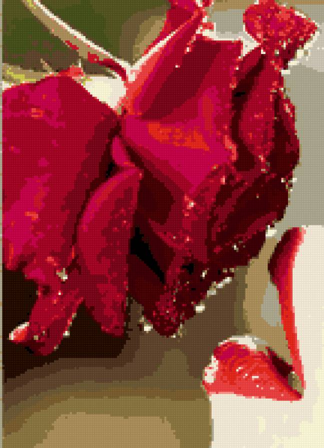 цвет - красота - предпросмотр