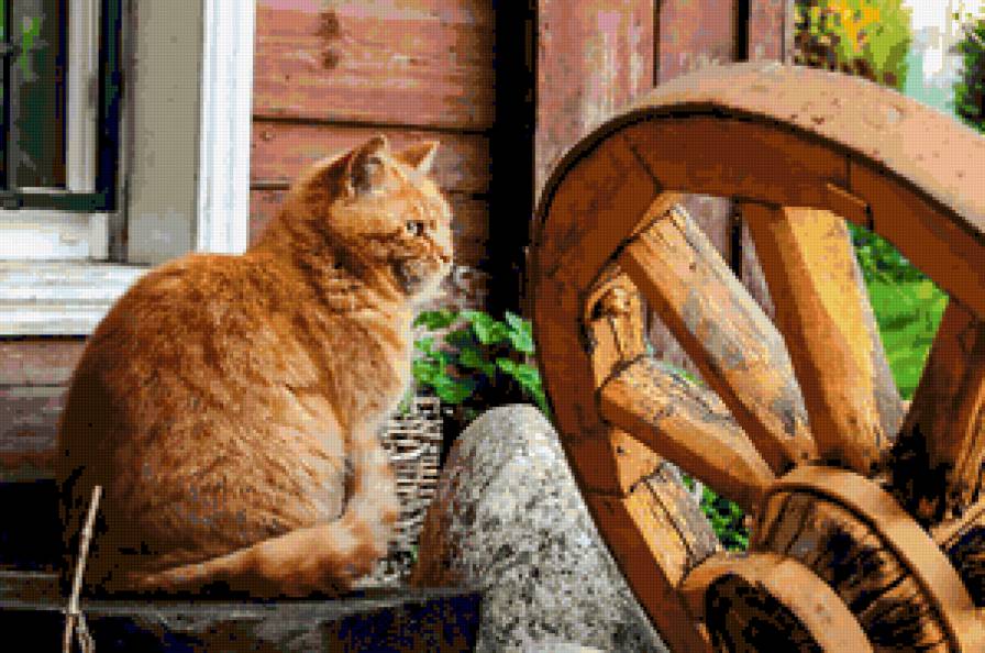 №369982 - предпросмотр