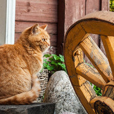 Схема вышивки «№369982»