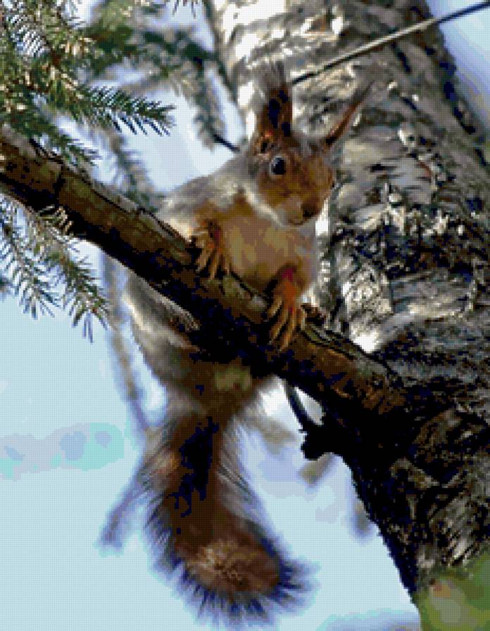 №370017 - предпросмотр