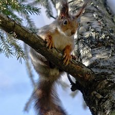 Схема вышивки «№370017»