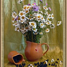 Схема вышивки «№370020»