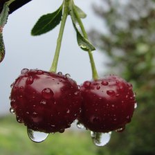 Схема вышивки «№370022»