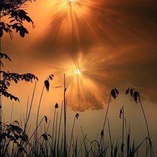 Схема вышивки «природа»