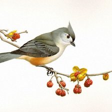 Схема вышивки «№370132»