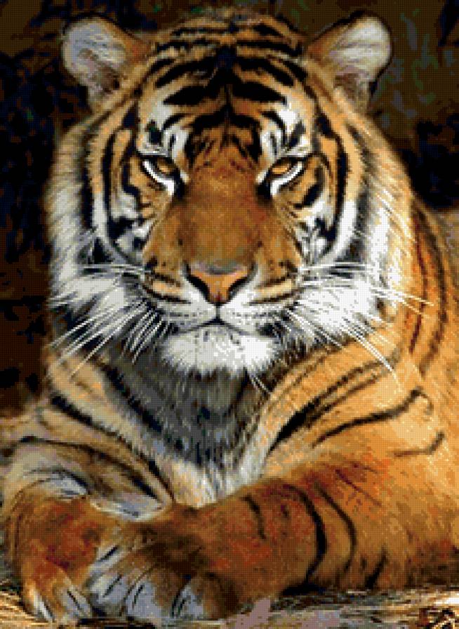 №370165 - предпросмотр