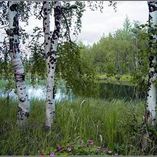 Схема вышивки «№370179»