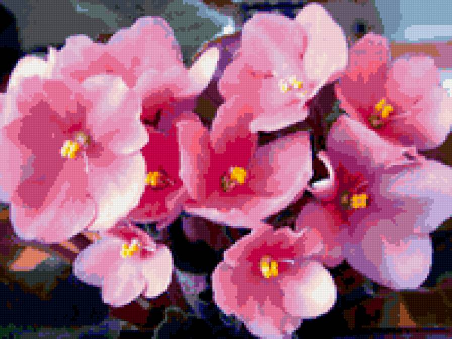 фиалки - фиалки, цветы - предпросмотр