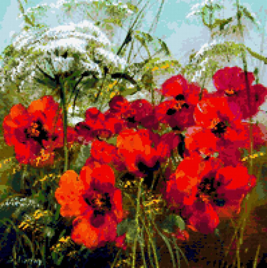 акварель - полевые, цветы, маки - предпросмотр