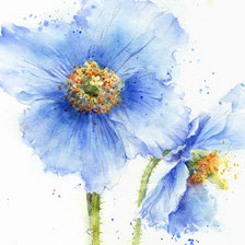 Схема вышивки «акварель»