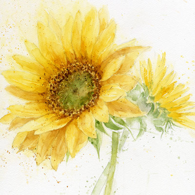 акварель - подсолнухи - оригинал