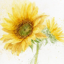 Схема вышивки «акварель»