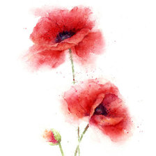 Схема вышивки «акварель»