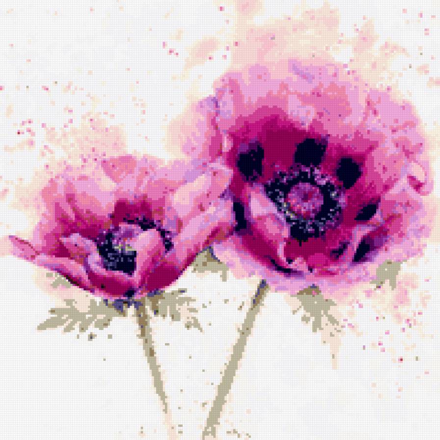 акварель - анемоны - предпросмотр