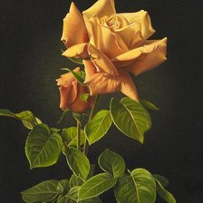 Схема вышивки «№370274»