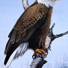 Схема вышивки «№370287»