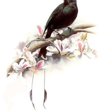 Схема вышивки «№370299»