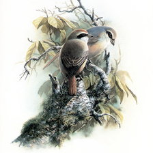 Схема вышивки «№370300»