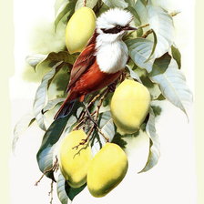 Схема вышивки «№370311»