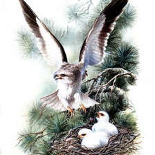 Схема вышивки «№370317»