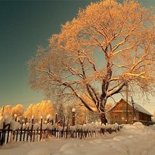 Схема вышивки «№370413»