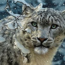 Схема вышивки «№370444»