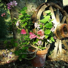 Схема вышивки «№370547»