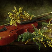 Схема вышивки «№370589»