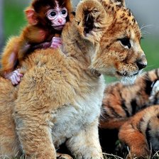 Схема вышивки «Зверята»