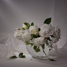 Схема вышивки «№370654»