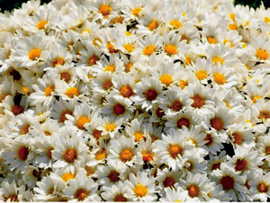 №370711 - предпросмотр