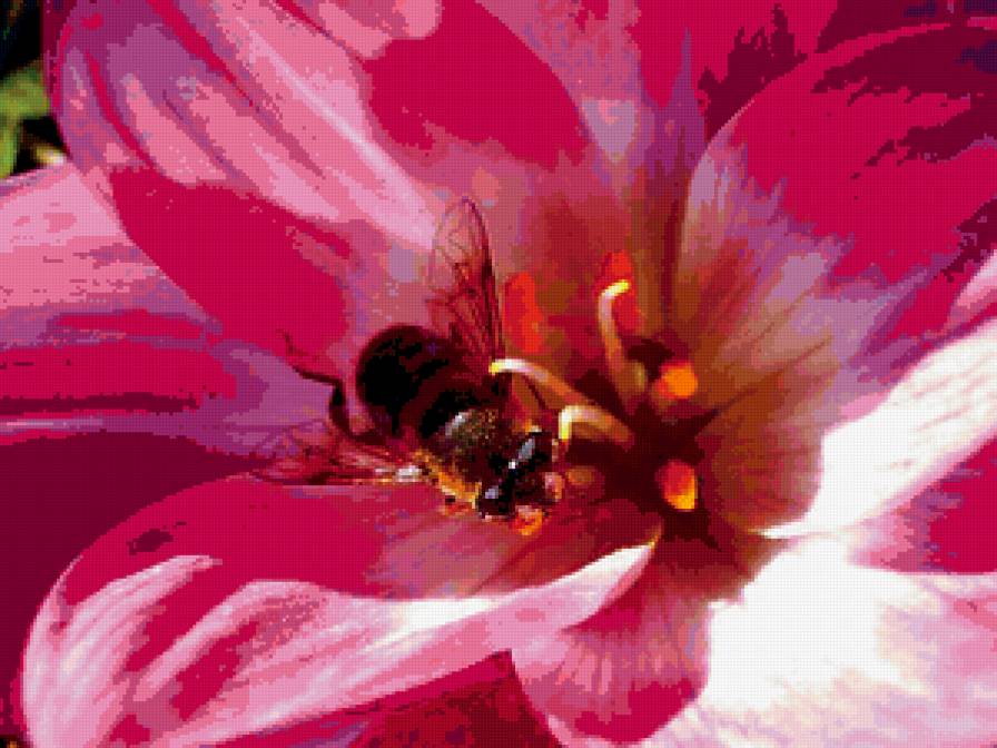 №370714 - предпросмотр